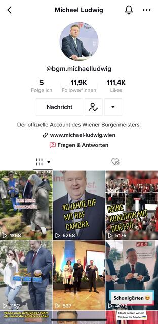 Foto: Screenshot TikTok