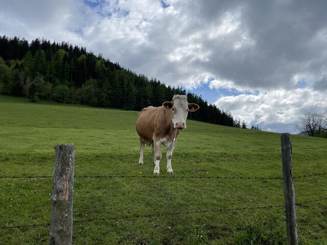 Foto: Martina Schweller