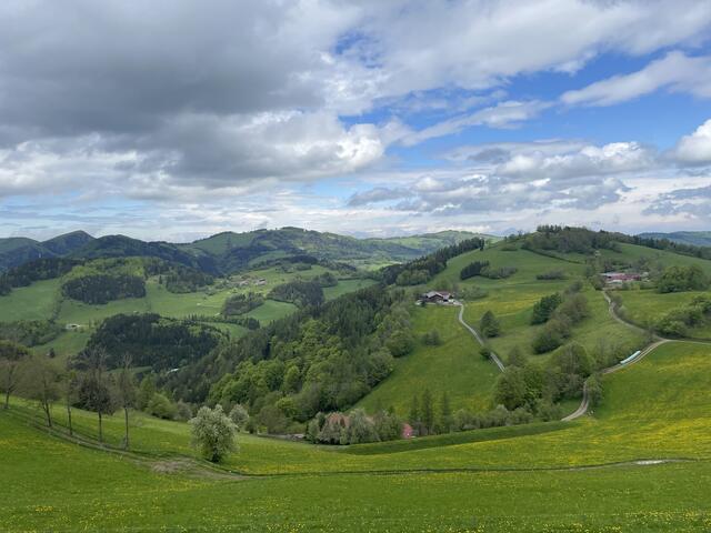 Foto: Martina Schweller