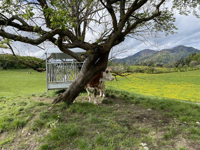 Foto: Martina Schweller