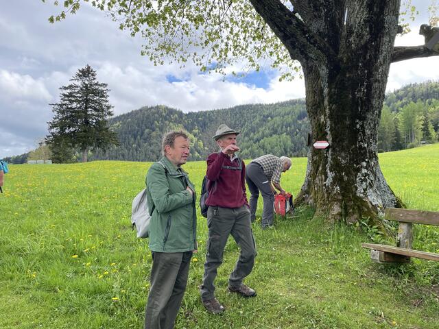 Foto: Martina Schweller