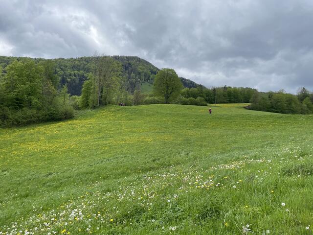 Foto: Martina Schweller