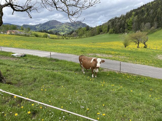 Foto: Martina Schweller