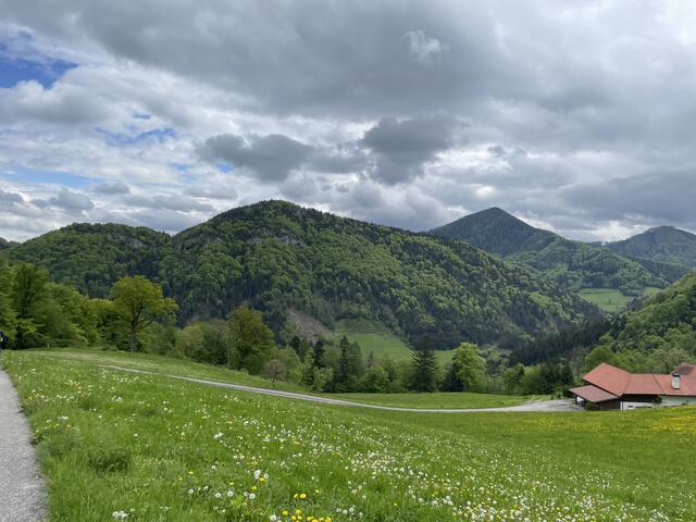 Foto: Martina Schweller