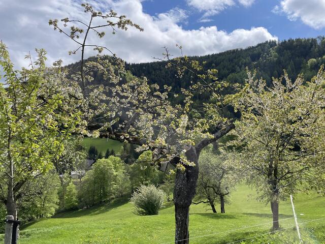 Foto: Martina Schweller