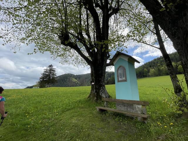 Foto: Martina Schweller