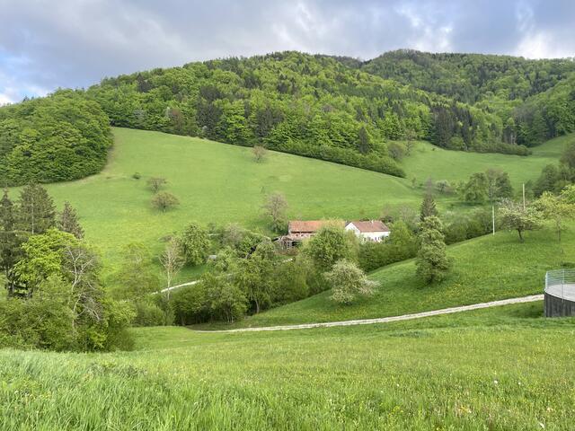 Foto: Martina Schweller