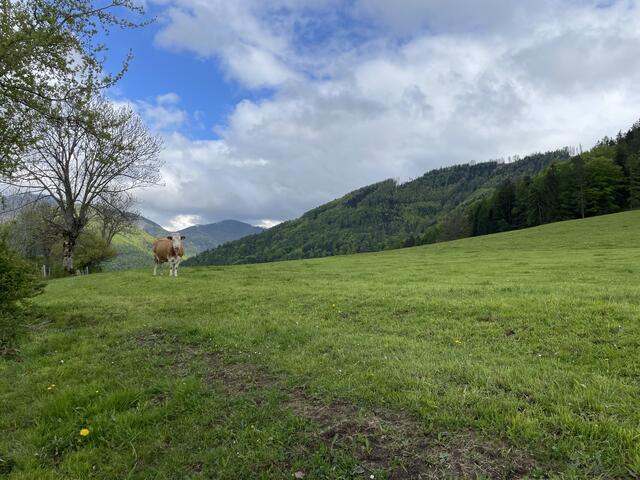 Foto: Martina Schweller