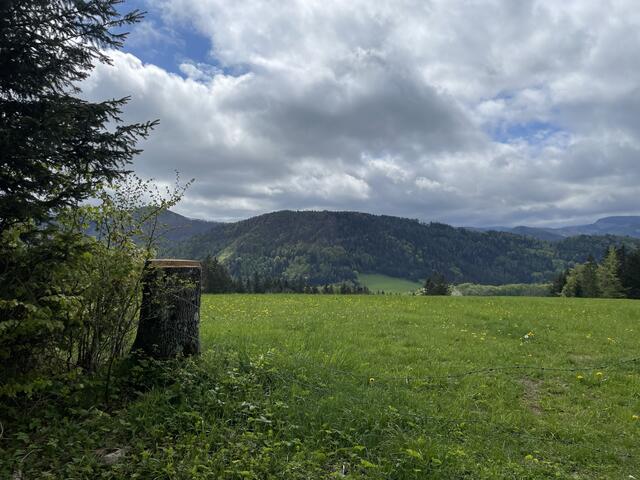 Foto: Martina Schweller