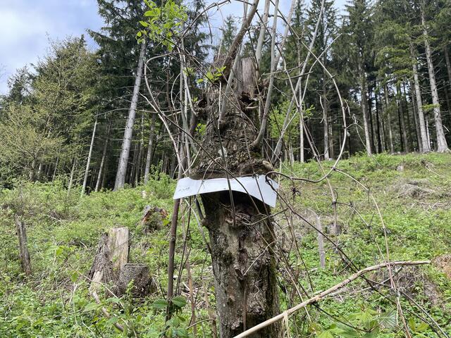 Foto: Martina Schweller