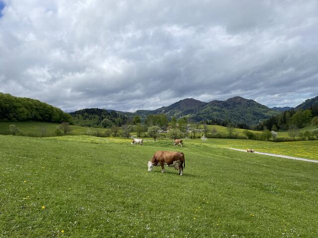 Foto: Martina Schweller