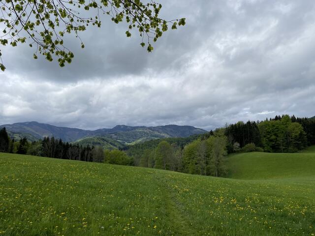 Foto: Martina Schweller