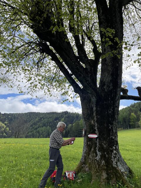 Foto: Martina Schweller