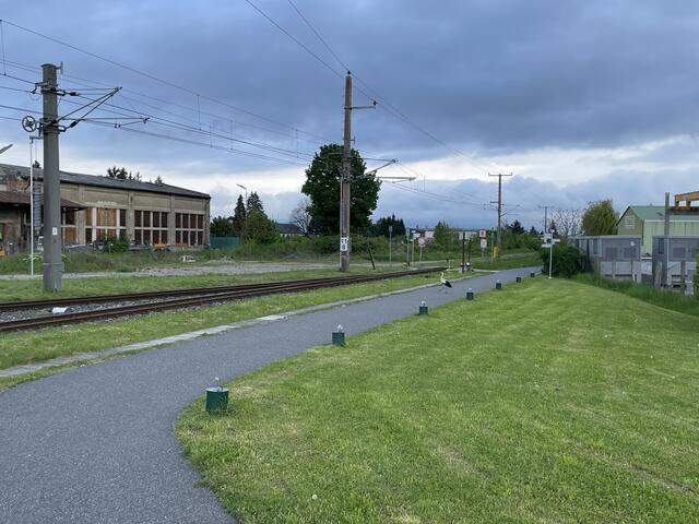 Storch in Ober-Grafendorf | Foto: Martina Schweller
