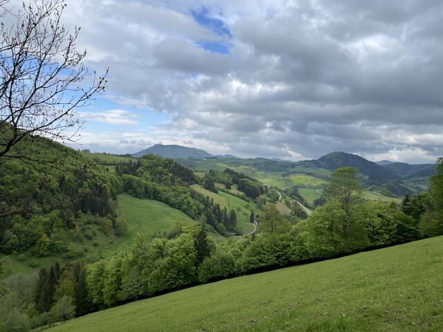 Foto: Martina Schweller