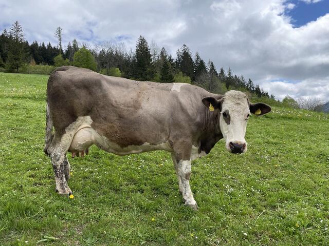 Wer da wen anschaut? | Foto: Martina Schweller