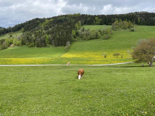 Foto: Martina Schweller