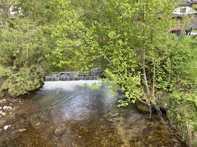 Foto: Martina Schweller