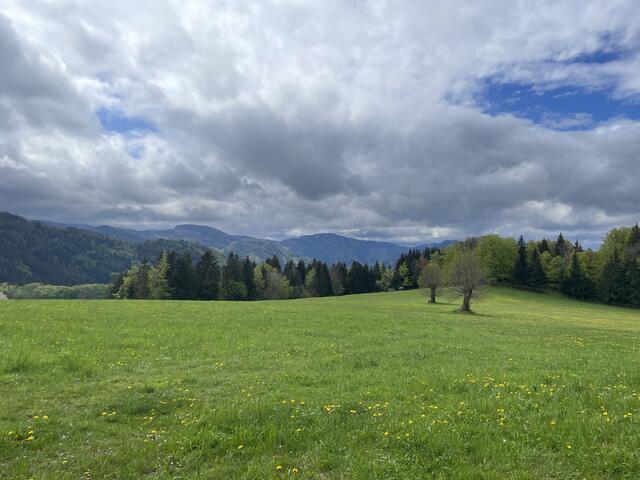 Foto: Martina Schweller