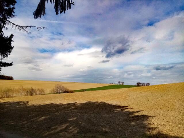 Gesegnet, die auf Erden Frieden stiften. (William Shakespeare aus: König Heinrich VI.)