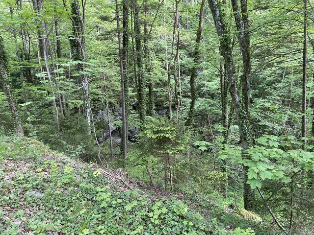 Foto: Martina Schweller