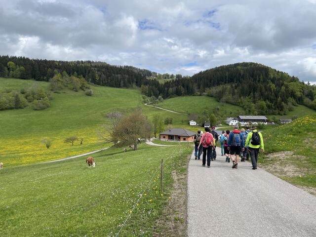 Foto: Martina Schweller