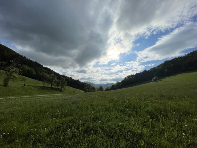 Foto: Martina Schweller