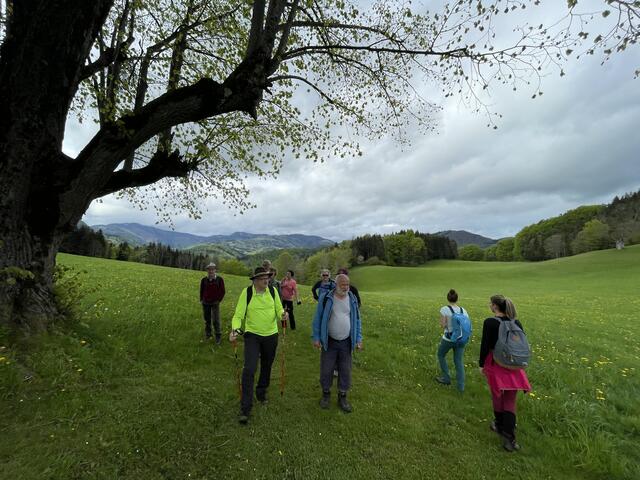 Foto: Martina Schweller