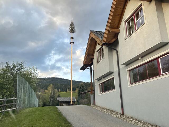 Dieser Maibaum steht am Dorfplatz in Wölting. | Foto: RegionalMedien