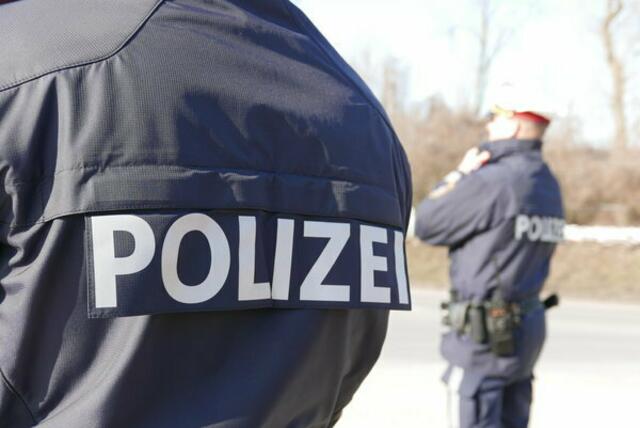 Der Bär in Grödig wurde von zwei Polizeibeamten während eines Nachtdienstes gesichtet. | Foto: Symbolbild: BRS/Huber