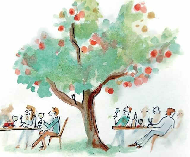 Foto: Franka Rothaug