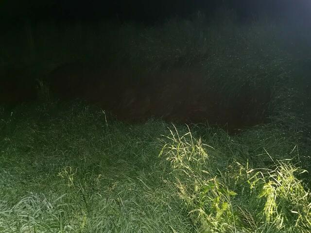 Foto: Georg Bachhiesl