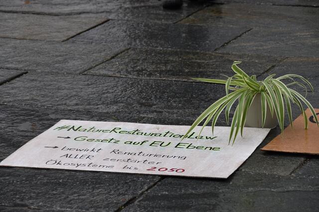 Foto: Barbara Fluckinger