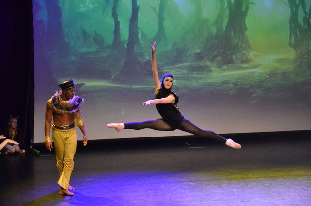 Die Landesmusikschule Telfs lud zum beeindruckenden Karneval-der-Tiere-Ballett-Abend.