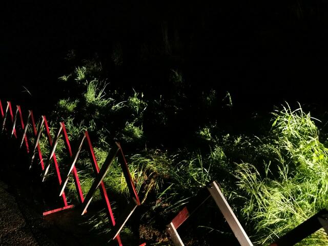 Foto: Georg Bachhiesl