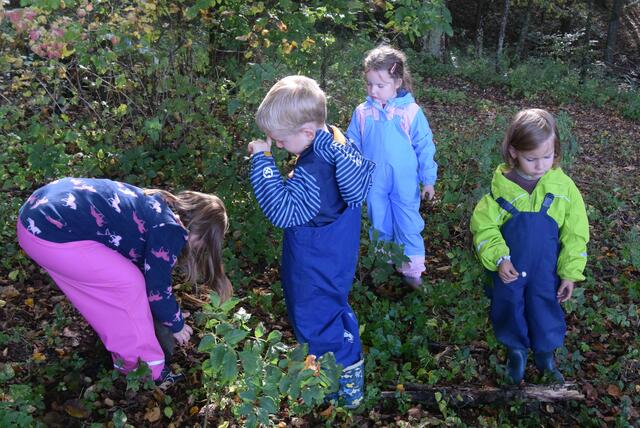 Foto: Kindergarten Großklein