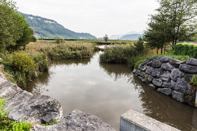 Für viele Vögel ist das Gebiet um den Egelsee ein Paradies | Foto: Stadtmarketing Feldkirch/nadine jochum