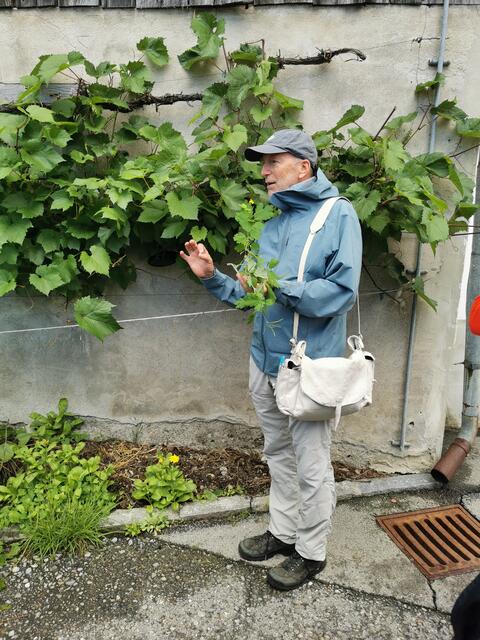 Heilkräuterwanderung mit Charly Worsch | Foto: Marina Fischer