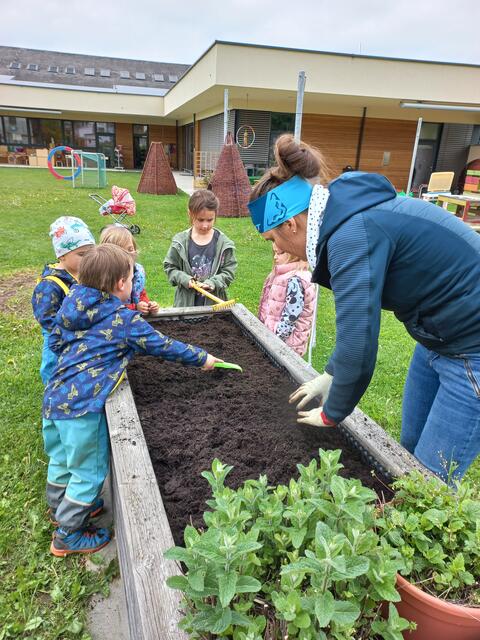 Gemeinsam werden die Hochbeete bepflanzt, gepflegt und auch geerntet. | Foto: Kindergarten Großklein