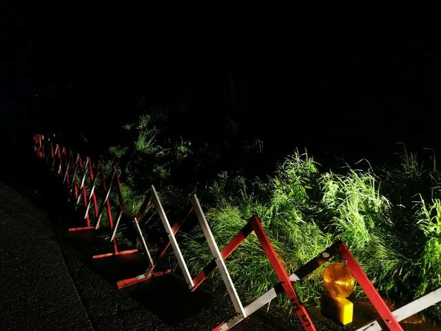 Foto: Georg Bachhiesl