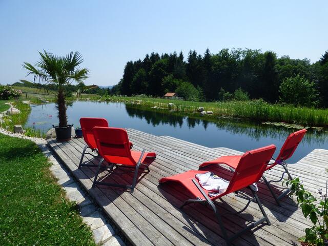 Relaxen am Schwimmteich | Foto: Pixabay