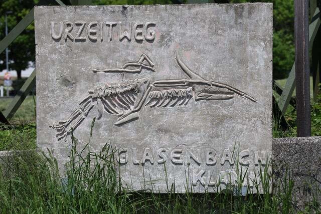Ein perfekt erhaltenes Skelett eines Fischsauriers, das man heute im Haus der Natur in Salzburg bewundern kann, verlieh dieser Klamm (Schlucht) einen weit über die Grenzen des Landes hinausreichenden Ruf unter Paläontologen. | Foto: Maria Tiefenbacher-Schöndorfer, 2023