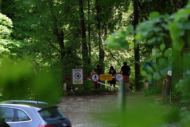 Ertappt: Verbotene Spaziergänger gehen in die gesperrte Glasenbachklamm bzw. kommen gerade wieder heraus. | Foto: Maria Tiefenbacher-Schöndorfer, 2023