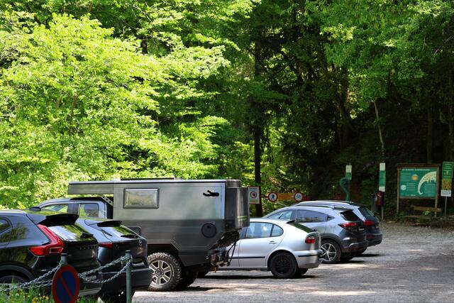 Zahlreiche Wanderer haben am Eingang der Glasenbachklamm geparkt. Ein Blick auf die Nummerntafeln verrät, dass die überwiegende Mehrheit der Fahrzeughalter aus der Landeshauptstadt stammen. | Foto: Maria Tiefenbacher-Schöndorfer, 2023