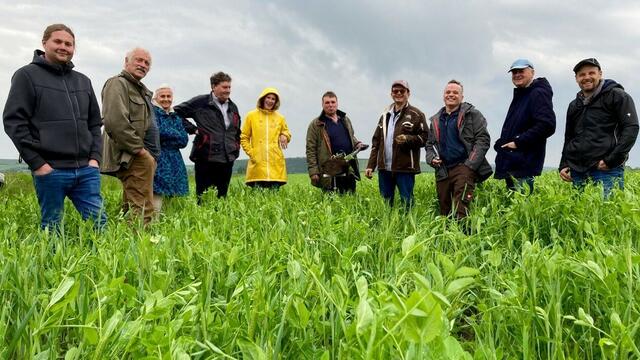 "Lebendige Erde begreifen" ist ein Motto der Humusbewegung | Foto: HUMUS Bewegung