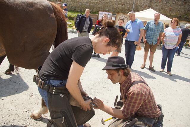 Ein Publikumsmagnet war Martin Jungwirt, Schmied in St. Johann, seine Handwerkskunst als Hufschmied vor Ort präsentierte.  | Foto: Helmut Eder