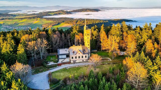 Die Ameisbergwarte feiert heuer ihr 20-jähriges Bestehen. | Foto: Karl Neissl