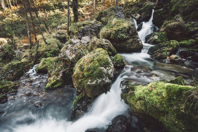 Foto: Stefan Leitner