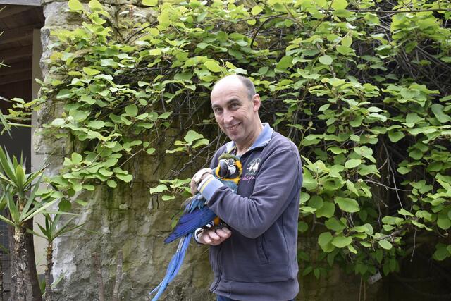 Emanuel Zupanc führt den Vogelpark Turnersee, in dem sich rund 800 Vögel in 300 Arten tummeln. | Foto: RegionalMedien
