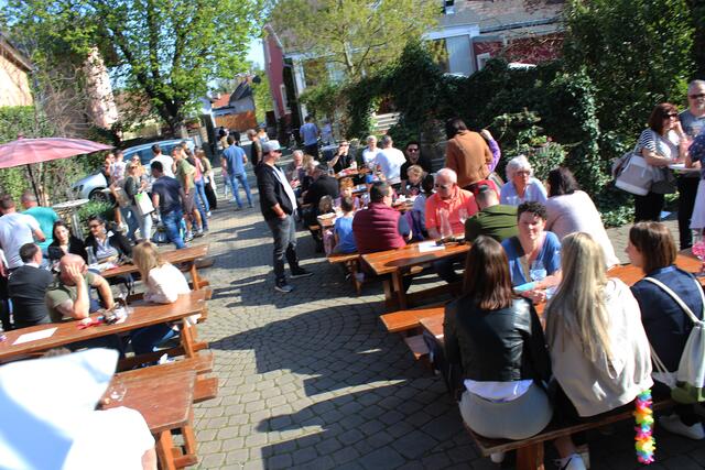 Volle Hütten und Gastgärten bei allen teilnehmenden Hauern beim Tag der Offenen Kellertüren Ende April  | Foto: Franz Schicker